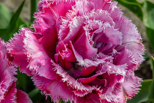 �1763805 �������(a): ����������:1920x1279